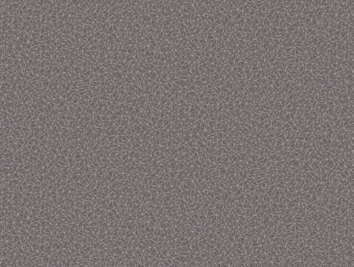Taralay Initial Compact - 0973 Spider Alu